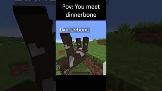 Pov You meet dinnerbone [upl. by Kcirderfla]