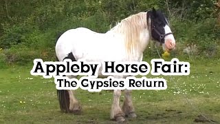 Appleby Horse Fair The Gypsies Return [upl. by Assirral865]