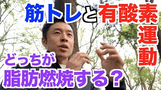 【51】筋トレと有酸素運動はどっちが脂肪燃焼するのか？そもそも有酸素運動はなぜ脂肪を燃やすんだい？有酸素運動のいろんな疑問に答えます。 [upl. by Dylana363]