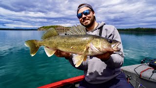 Sharpshooting BIG Walleyes in Crystal Clear Water Northern Wisconsin Opener [upl. by Mozelle]