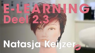 ELearning Deel 23 Pixie haircut  Triangle Highlights by Natasja Keijzer [upl. by Valdemar470]