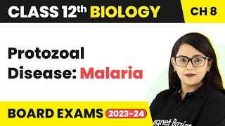 Protozoal Disease Malaria  Human Health amp Disease  Class 12 Biology Chapter 8 202223 [upl. by Ahseyt426]