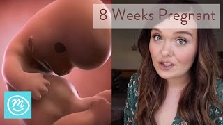 8 Weeks Pregnant What You Need To Know  Channel Mum [upl. by Infeld297]