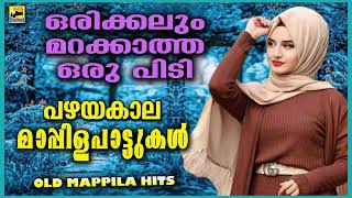 Pazhaya Mappilapattukal  Old Is Gold Mappilappattu  Old Mappila Song Malayalam  Mappila Songs [upl. by Kcirrek906]