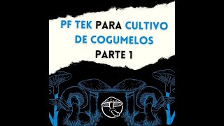 CULTIVO FÁCIL DE COGUMELOS o que é a PF TEK e como realizar esta técnica [upl. by Htezil]