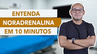 TUDO sobre NORADRENALINA em MENOS de 10 MINUTOS [upl. by Greyso]