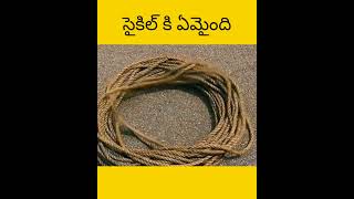 Vellu cycle tho assalu em cheystharu telugu facts amazingfacts [upl. by Ddal937]