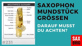 Bahnöffnung Kammer Baffle  Die 3 wichtigsten Größen bei Saxophon Mundstücken  Daily Sax 231 [upl. by Anirbak]