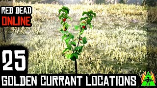 Red Dead Redemption 2 Online  GOLDEN CURRANT LOCATIONS [upl. by Octavie377]