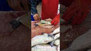 Trout Cutting in just 13 Seconds [upl. by Arabeila502]