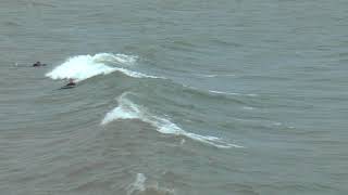 SURFING AT DAWLISH WARREN [upl. by Devinna]