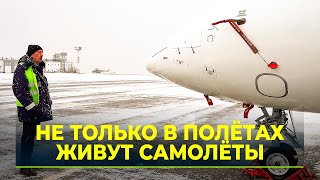 Старейшему авиатехнику АТК «Ямал» присвоили звание заслуженного работника транспорта РФ [upl. by Notlehs]