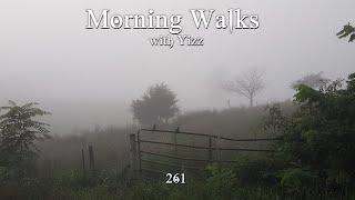 Morning Walks with Yizz 261 Im Worried Who I Was Is Dead [upl. by Naraj]