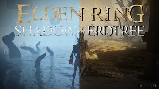 Elden Ring Shadow of the Erdtree  Naked Run  Part 20  Two Legends Felled [upl. by Aric518]