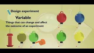 Scholastic  Study Jams  Scientific Method [upl. by Sisxela]