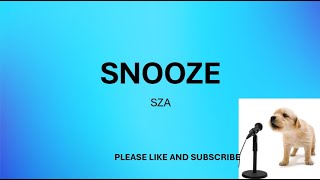 SNOOZE BY SZA LYRICS [upl. by Nnylireg]