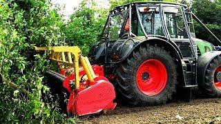 BAUMFÄLLUNG  FENDT 939 VARIO amp FORSTMULCHER SEPPI M MAXIFORST [upl. by Bishop247]