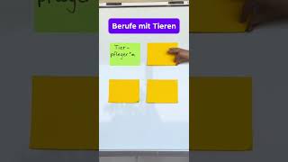 Berufe mit Tieren tiere azubi berufswahl tierberufe enjoylehre ausbildung [upl. by Nivek]