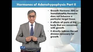 Hormones of Adenohypophysis  Part 2  Animal Form amp Function 1 Theory  ZOO516TTopic127 [upl. by Adnoluy]