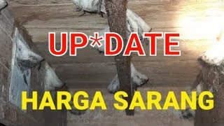 Harga SARANG Walet Per JuliAgustus 2024  UPDATE [upl. by Giovanni48]