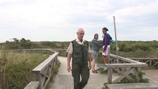 Slecht broedseizoen voor lepelaar op Waddeneilanden [upl. by Nidorf]