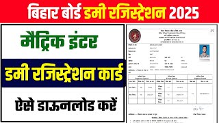 Bihar Board 12th Registration Card Download 2024 Matric Dummy Registration Card Download link 2025 [upl. by Chadbourne774]