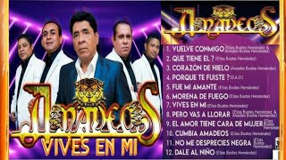 Disco Completo 💿 Grupo Los Amadeos  Producción 2020 [upl. by Nikolaus]