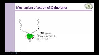 Quinolones Mechanism of action [upl. by Donall]