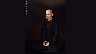 Sitting with the Buddha  Guided Meditation by Thich Nhat Hanh [upl. by Arted]