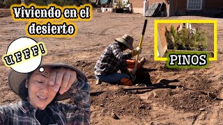 137 ME TOCO PURO CALICHE PERO METÍ LOS PINOS💯Y LOS PERROS⁉️vlog vidadecampo [upl. by Ahsien486]