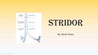 Stridor  acutechronic causes Bernoulli principle clinical features investigations management [upl. by Lorusso]