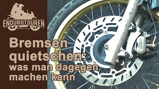 Bremsen quietschen laut an der Honda Transalp 600 PD06 – was man dagegen tun kann [upl. by Eydnarb]