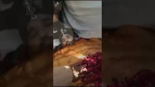 Khalid Hasnain Khalid Akhri Didar  TikTok Viral sound foryou khalidhasnainkhalidbestnaat [upl. by Lennahc417]