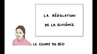 La régulation de la glycémie [upl. by Geanine]