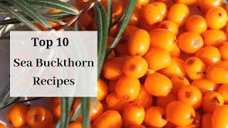 How to preserve Sea Buckthorn Berries  Top 10 Recipes [upl. by Onitnatsnoc]