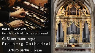 Bach BWV 709 Gottfried Silbermann organ Freiberg Cathedral Arturo Barba Herr Jesu Christ [upl. by Siurtemed72]