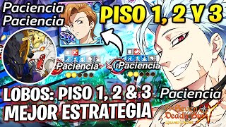 🦊 EQUIPO PACIENCIA MEJOR EQUIPO F2P PARA SACAR RELIQUIAS SKOLL amp HATI  7ds Grand Cross [upl. by Hplodnar203]