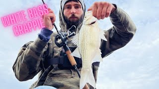 HOOKED UP on Crappie and White BASS [upl. by Scurlock415]