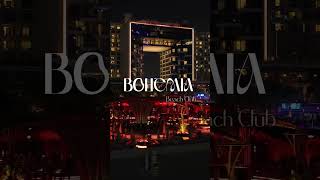 Bohemia Chill with Antdot  3 November from 11am [upl. by Krista]