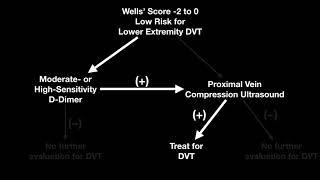 POCUS Lower Extremity  DVT Evaluation  Algorithm for the lowrisk patient [upl. by Sarkaria]