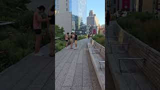 High Line New York City [upl. by Anelahs]