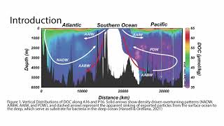 Discover 2024  G42  Kristen Wilson Earth amp Environmental Sciences [upl. by Ordisy69]