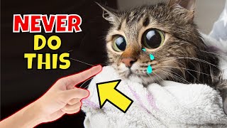 21 Things You Should NEVER Do to Your Cat 3 is 💩 [upl. by Renckens]