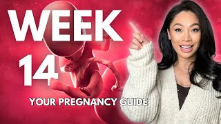 14 Weeks Pregnant  Your Pregnancy Guide WeekbyWeek [upl. by Oitaroh]