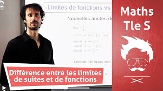 Terminale  Maths  InterpreÌtation geÌomeÌtrique des limites [upl. by Redyr]