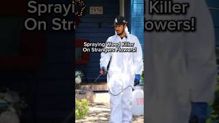 Weed killer on strangers flowers prank [upl. by Carlee]