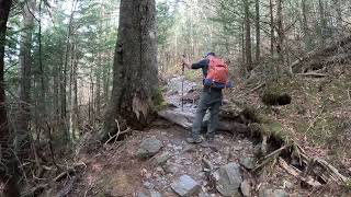 Hiking on the Appalachian Trail between Clingmans Dome and Newfound Gap [upl. by Rafat]