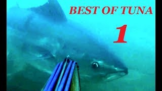 BEST TUNA SPEARFISHING VIDEOS  Part 1  Top shots and big fishes video [upl. by Anial]