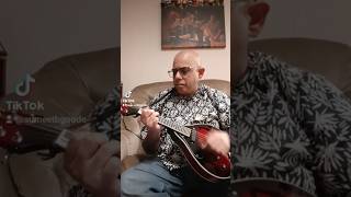 Losing My Religion  REM TikTok Mandolin cover  Vangoa [upl. by Ferriter]