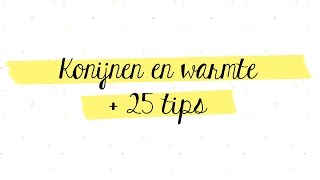 Konijnen en warmte met veel tips  De konijnenknuffelaar [upl. by Allak]